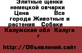 Элитные щенки немецкой овчарки › Цена ­ 30 000 - Все города Животные и растения » Собаки   . Калужская обл.,Калуга г.